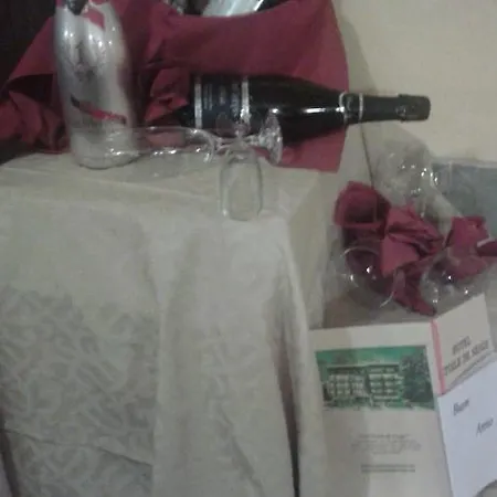 酒店 伊托易雷德奈吉酒店 瓦托内切