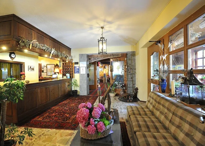 Etoile De Neige Hotel